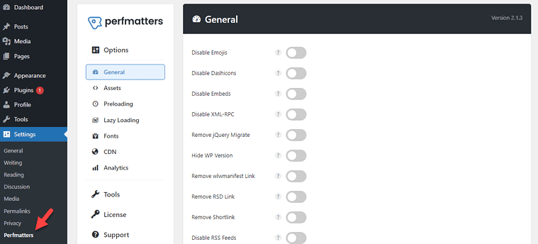 Perfmatters settings