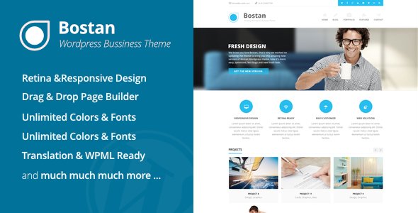 Bostan WordPress theme