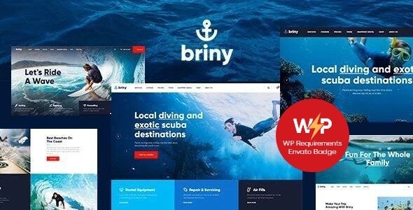 Briny WordPress theme