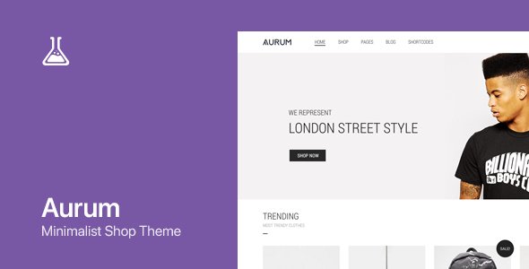 Aurum WordPress theme