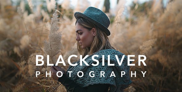 Blacksilver WordPress theme