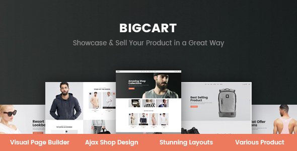 Bigcart WordPress theme