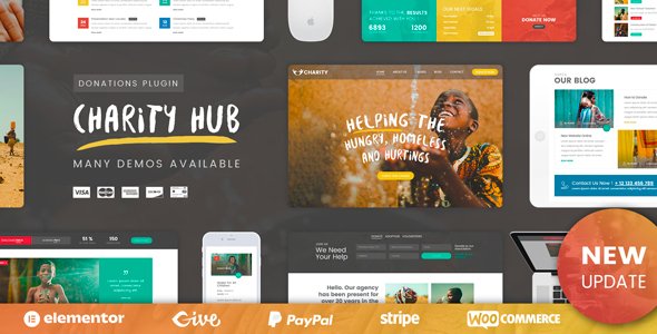 Charity Foundation WordPress WordPress theme