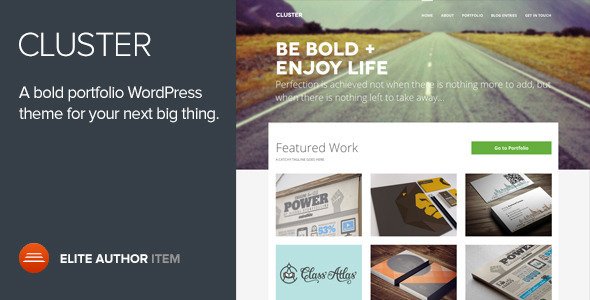 Cluster WordPress theme