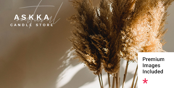 Askka WordPress theme