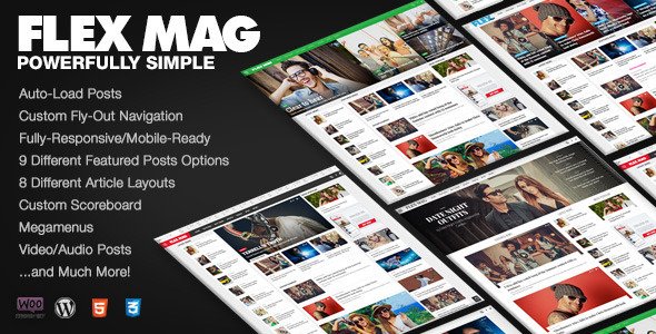 Flex Mag WordPress theme