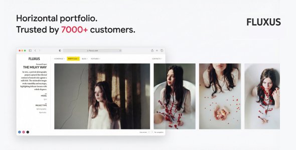 Fluxus WordPress theme