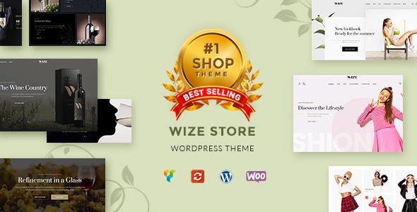 WizeStore WordPress theme
