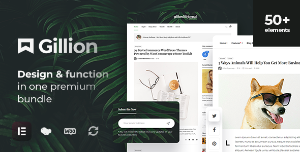 Gillion WordPress theme