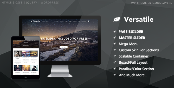 Versatile WordPress theme