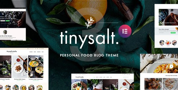 TinySalt WordPress theme