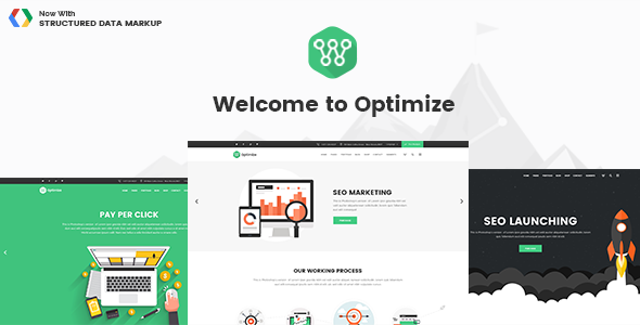 Optimize WordPress theme