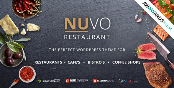NUVO WordPress theme