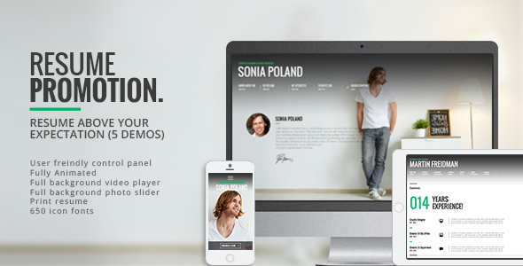 Promotion WordPress theme