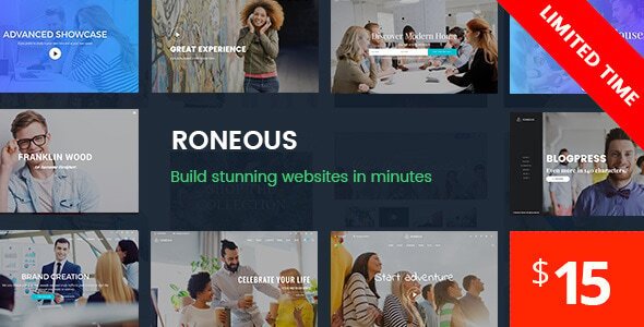 Roneous WordPress theme
