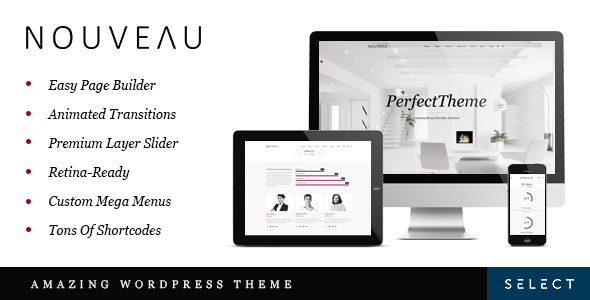 Nouveau WordPress theme