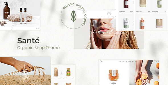 Santé WordPress theme