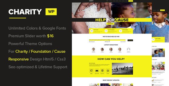 Charity WordPress Theme WordPress theme