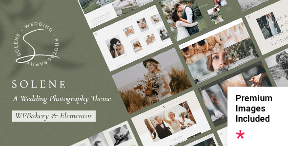 Solene WordPress theme