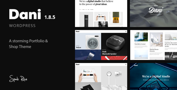 Dani WordPress theme