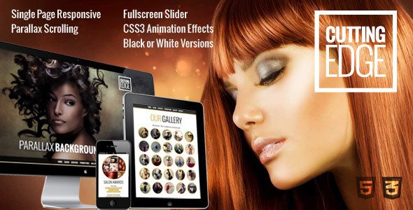 Cutting Edge Responsive Parallax WordPress Theme WordPress theme