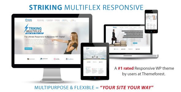 Striking WordPress theme