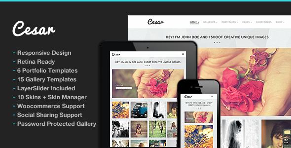 Cesar WordPress theme