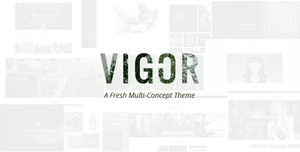 Vigor WordPress theme