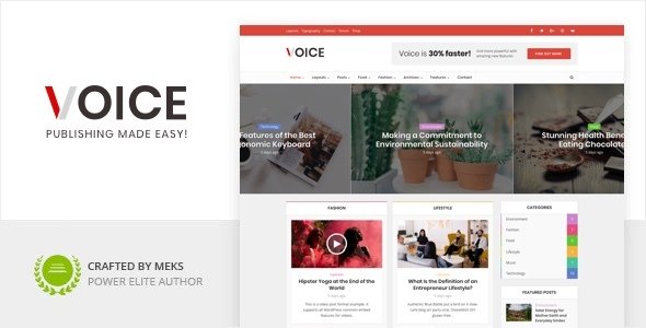 Voice WordPress theme