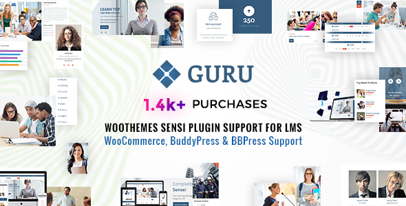 Guru WordPress theme