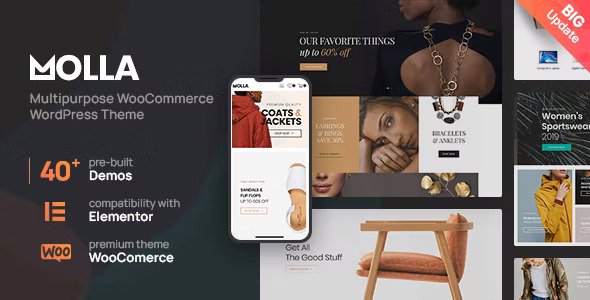 Molla WordPress theme