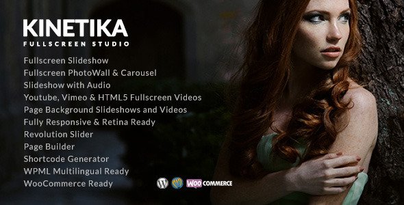 Kinetika WordPress theme