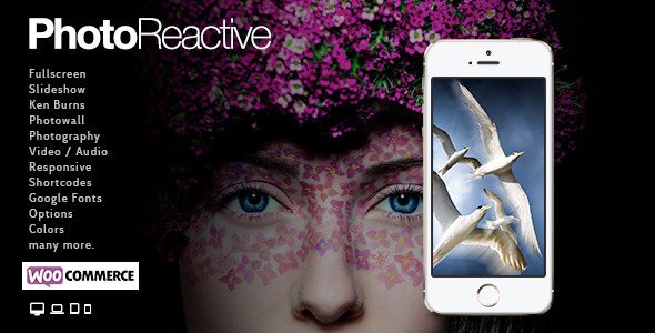 PhotoReactive WordPress theme