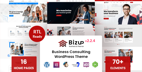 Bizup WordPress theme