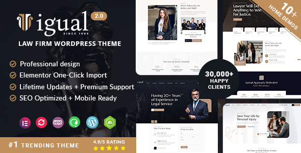 Igual WordPress theme